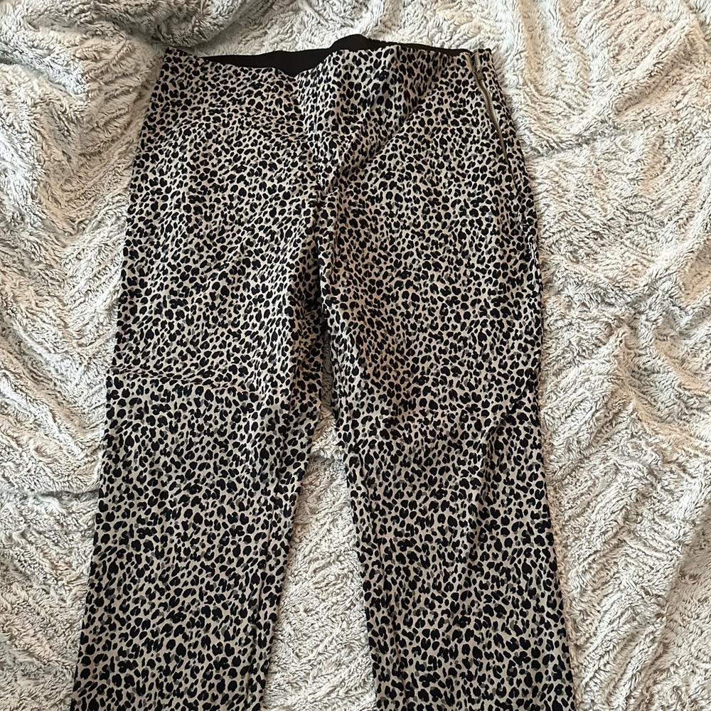 Women’s dress pants